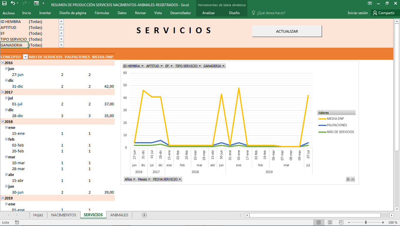 INFORME-SERVICIOS