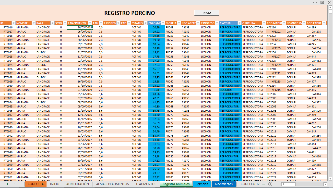 Registro porcino