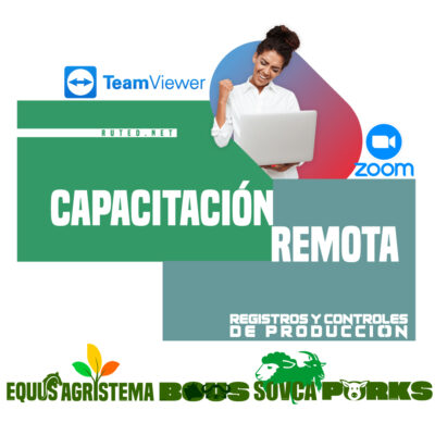 CAPACITACIÓN REMOTA 1Hr (Registros y controles de producción)